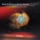 Shane Blackshaw, Hannes Wiehager - Tipi ReThink