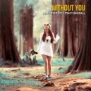 Sync Diversity & Tracy Bagnall - Without You (Original Mix)