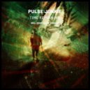 Pulse Junkie - Past Tales