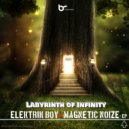 Elektrik Boy & Magnetic Noize - Psylocibian Absolution