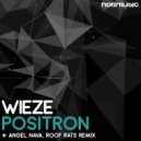 Wieze & Roof Rats - Positron