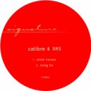Calibre, DRS - Living For