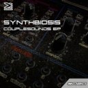 Synthbiosis - Spinning On A Turntable (Anachronic Melody) (Original Mix)