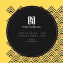 Carlos Salas - Life