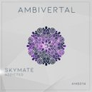 Skymate - Addicted