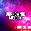 UNKNOWN ID - Long Night