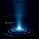 Deep Inzhiniring - Amplitude