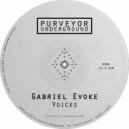 Gabriel Evoke - So What