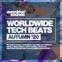 Alan Jones - Fashion Love (Bass House Dub Mix)