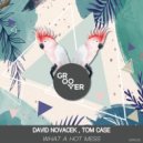 David Novacek & Tom Case - What A Hot Mess
