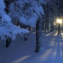 DjAleich - The little fir tree was born