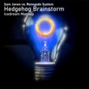 Sam Jones vs. Renegade System - Hedgehog Brainstorm (Icedream Mashup)
