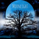 Helvi - Moonlight ()