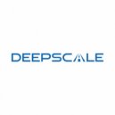 Deepscale - As The Tears Run Down
