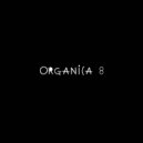 DIMTA - ORGANICA MIX PART 8 (Compiled & Mixed by DIMTA)
