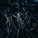 Hotel Neon - Reticent
