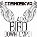 COSMOSKVA - BLACKBIRD DOWNTEMPO (Mixes 2021)