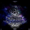 Shintuza - Blitzards (Original Mix)