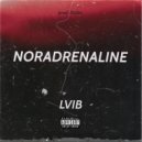 LVIB - Noradrenaline