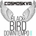 Cosmoskva - BLACKBIRD DOWNTEMPO II JAN19 21