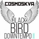 Cosmoskva - BLACKBIRD DOWNTEMPO II JAN19 21 (Mixes 2021)