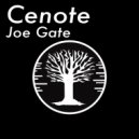 Joe Gate - Cenote