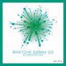 Schwarz & Funk - Whatcha Gonna Do