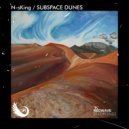 N-sKing - Subspace Dunes