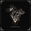 Alin Dimitriu - Wonderland