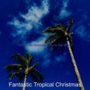 Fantastic Tropical Christmas - Auld Lang Syne - Christmas Holidays