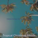 Tropical Christmas Moods - Christmas 2020 We Wish you a Merry Christmas