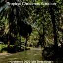 Tropical Christmas Curation - Silent Night, Chrismas Shopping