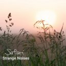Strange Noises & Chillhop Music & ChillHop Beats - The song of the birds