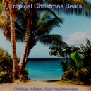 Tropical Christmas Beats - Christmas 2020 Auld Lang Syne ()