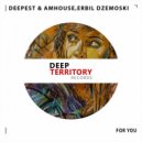 Deepest & AMHouse ft. Erbil Dzemoski - For You