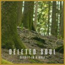 Deleted Soul - Secret In A Hole
