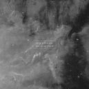 Meadows - ...From A Distance