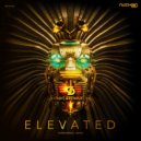 Dave Steward - Elevated
