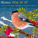 Blusoul - After All