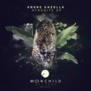 Andre Gazolla - Envolve