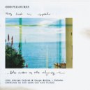 Adrien Calvet, Coupe Melba - Le Sude (Odd Ones Out Remix)