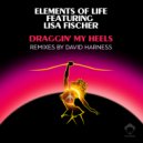Elements Of Life Feat. Lisa Fischer - Draggin' My Heels