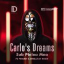 Carla's Dreams - Sub Pielea Mea