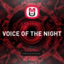 ILYA FLIGHT - VOICE OF THE NIGHT (Original Mix)