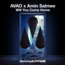 AVAO & Amin Salmee - Will You Come Home