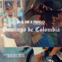 SiulDR & Veinty9 Street & Ñingo - Domingo De Colombia ()