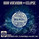 Igor Voevodin & Platinum Monkeys - Eclipse (Platinum Monkeys Remix)