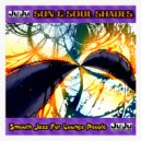 Sun & Soul Shades - Slow Down (Instrumental)