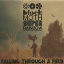 Black Moth Super Rainbow - I Think It Is Beautiful That You Are 256 Colors Too