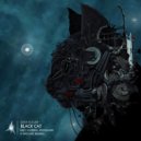 Deep Future & Sivesgaard - Black Cat (Sivesgaard Remix)